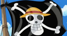Pengibaran Bendera One Piece Jelang HUT RI Tuai Sorotan DPR